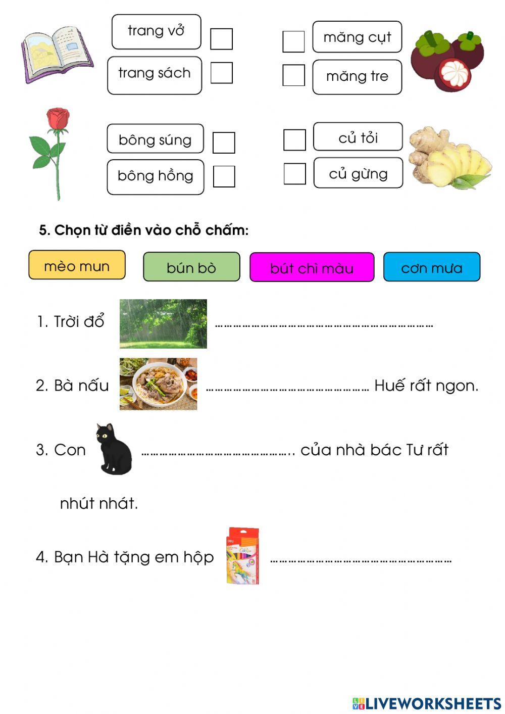 Ôn tập cuối tiếng việt tuần 12