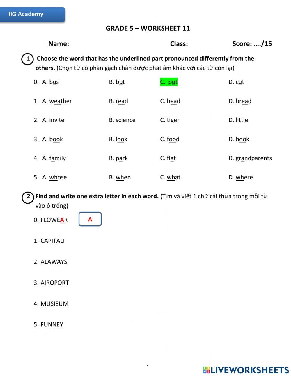 IIG-Grade 5-Worksheet 11