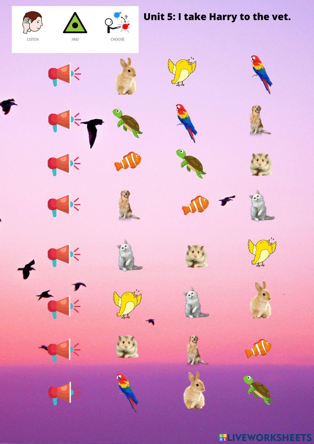 I take Harry to the vet, listen and choose