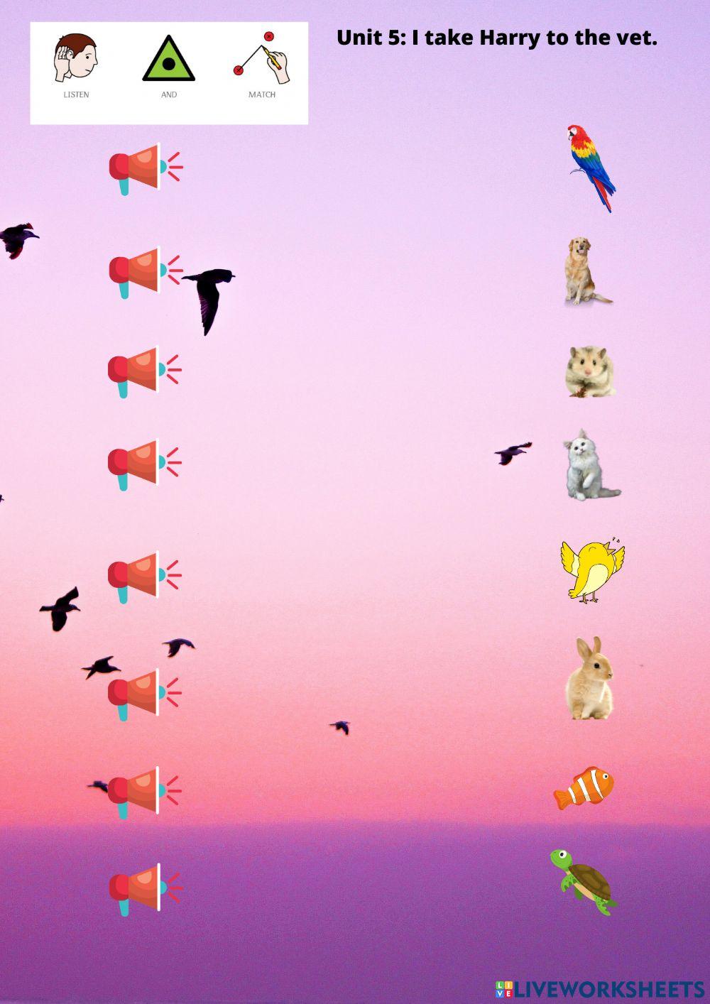 I take Harry to the vet, listen and match