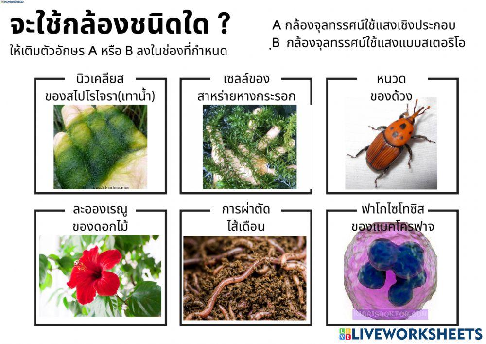 วิทยาศาสตร์