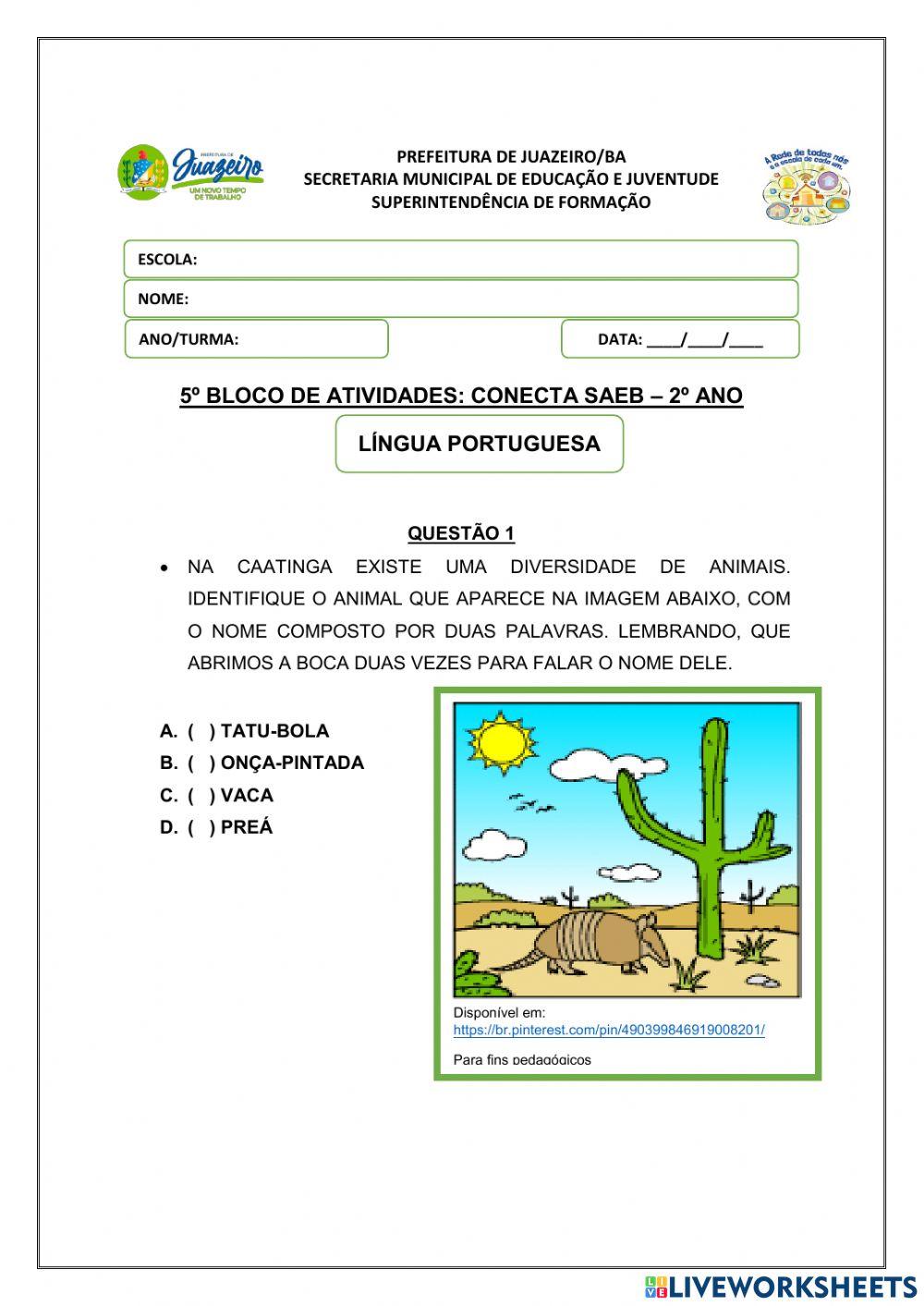 Revisão de português