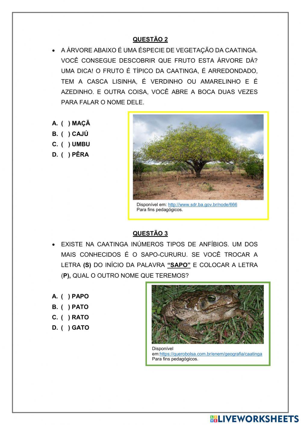 Revisão de português