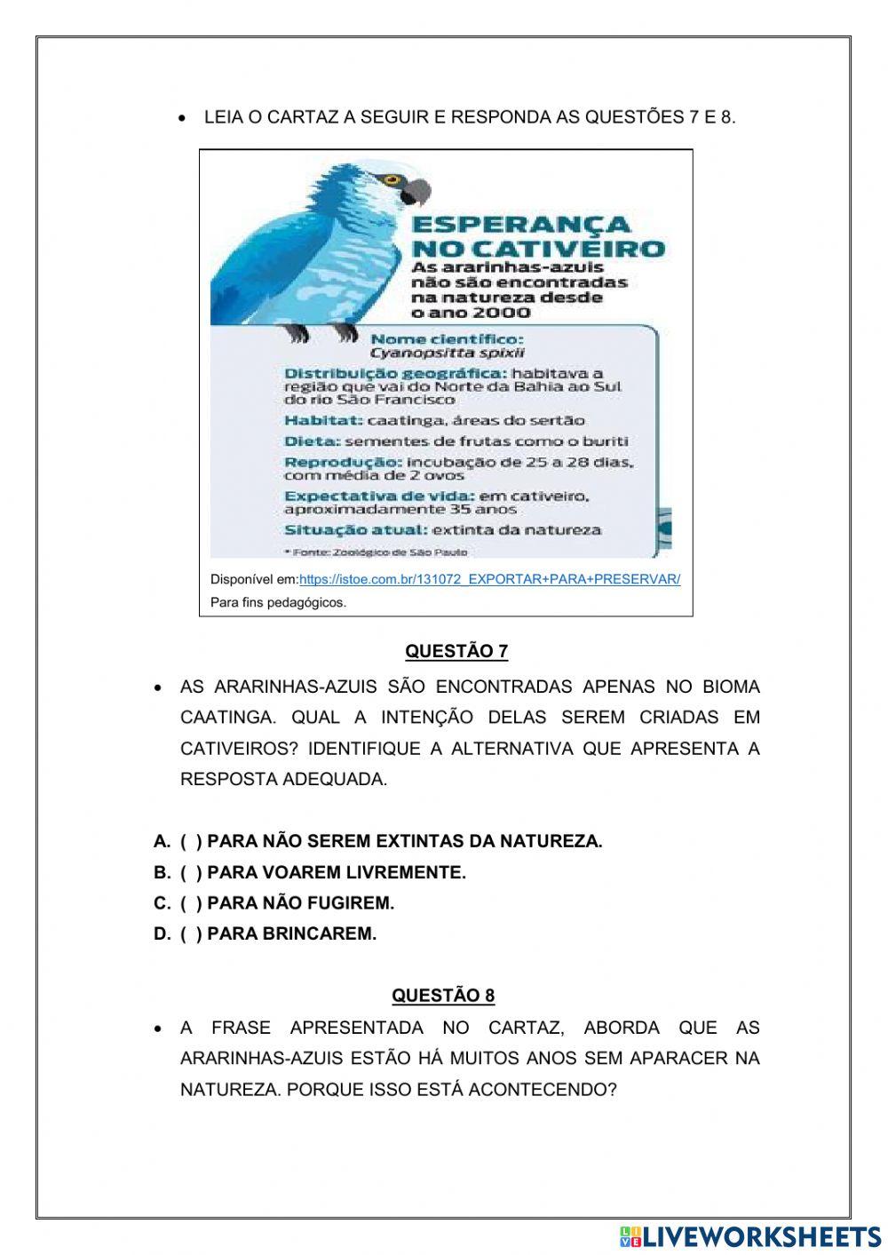 Revisão de português