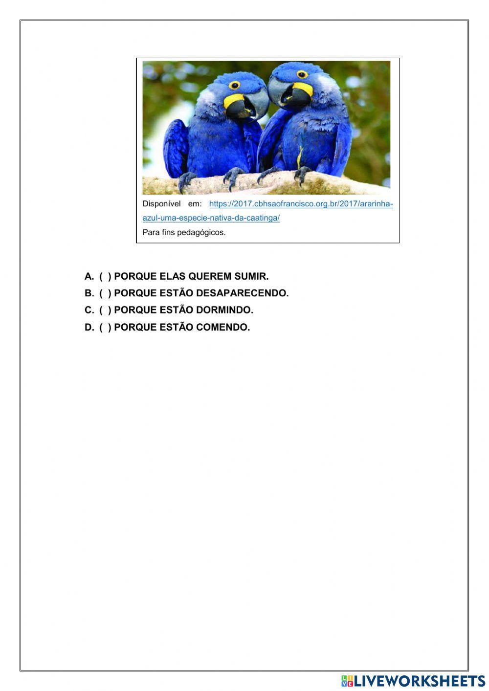 Revisão de português