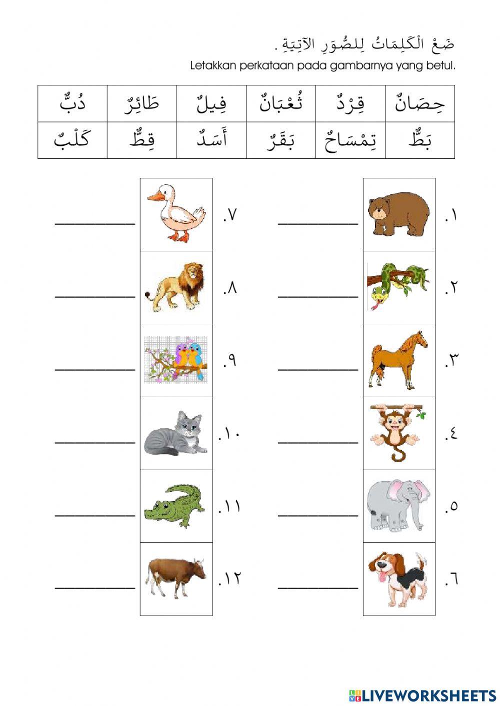 UNIT 4 : Belas kasihan terhadap haiwan