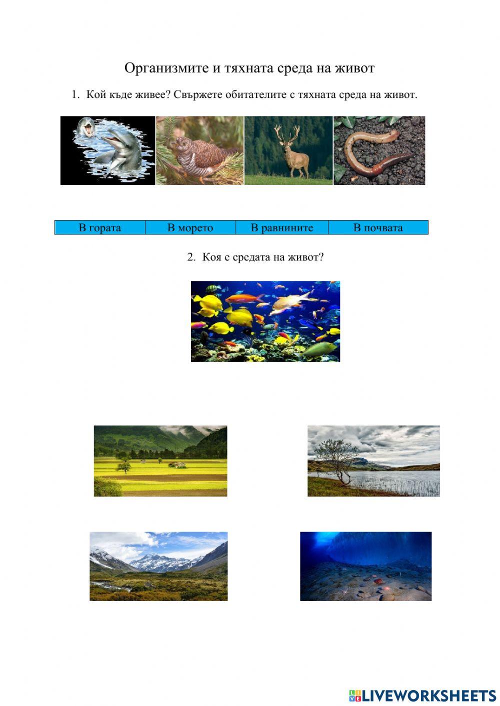 Организмите и тяхната среда на живот interactive activity | Live Worksheets
