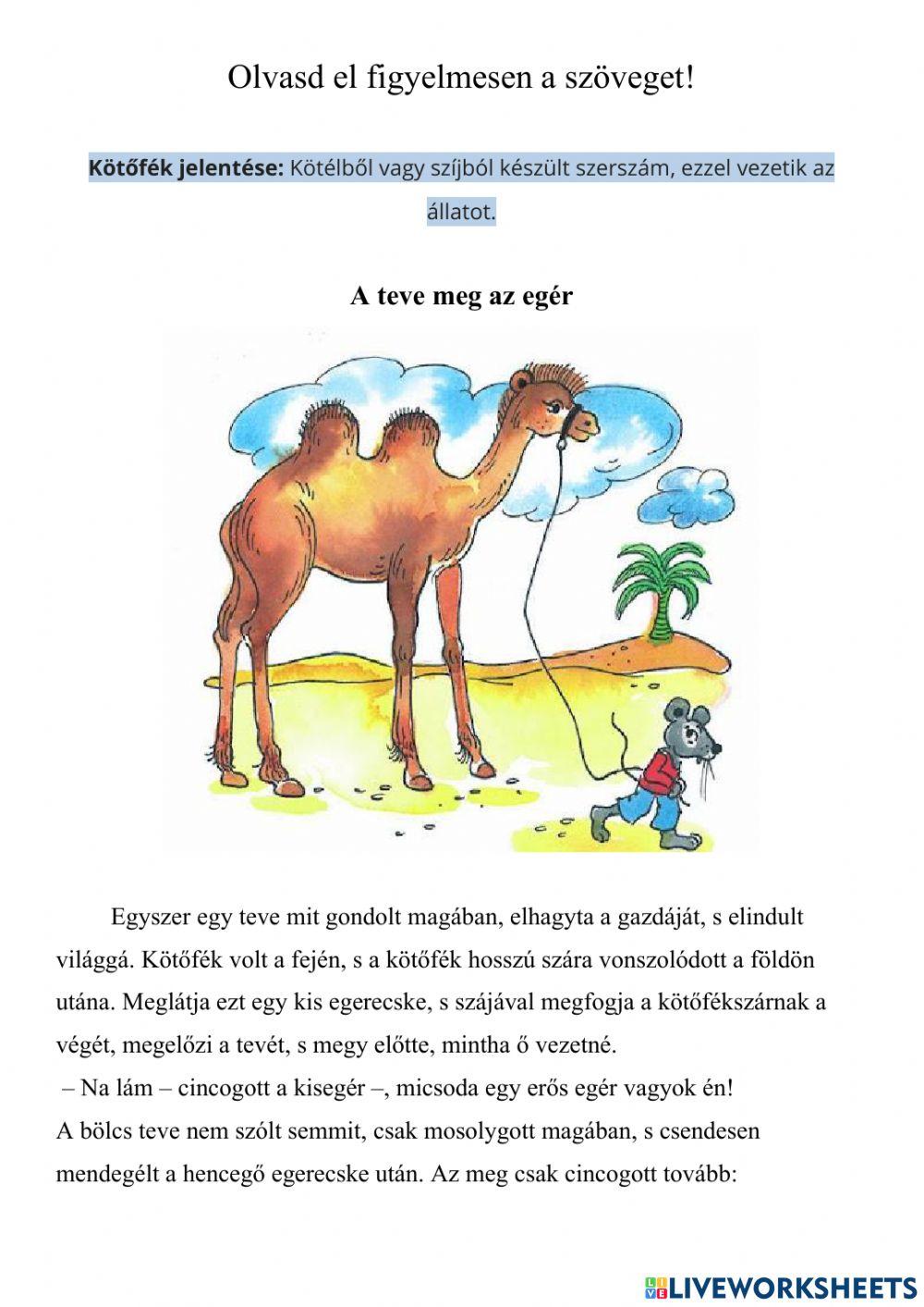 2.szövegértés 2.szövegértés