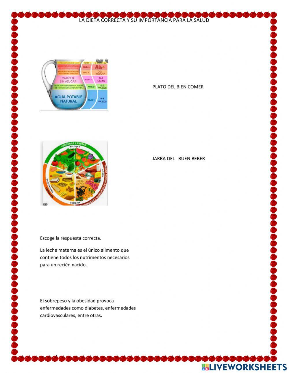 La dieta correcta y su importancia para la salud