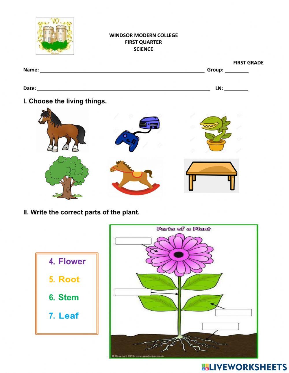Science Quarterly exam 1