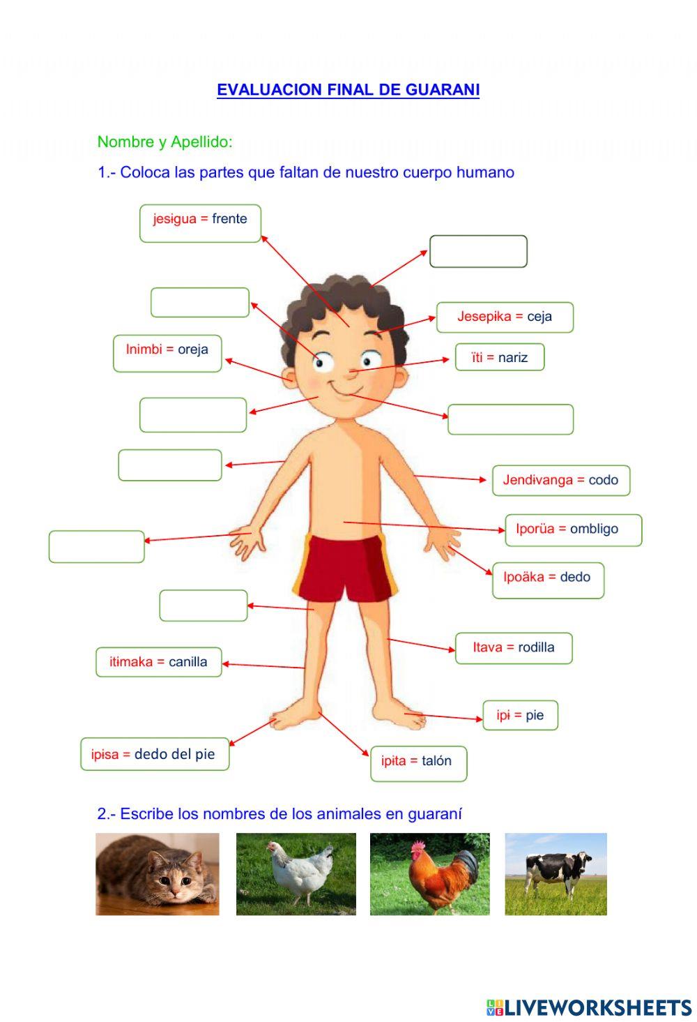 Las partes del cuerpo y los animales