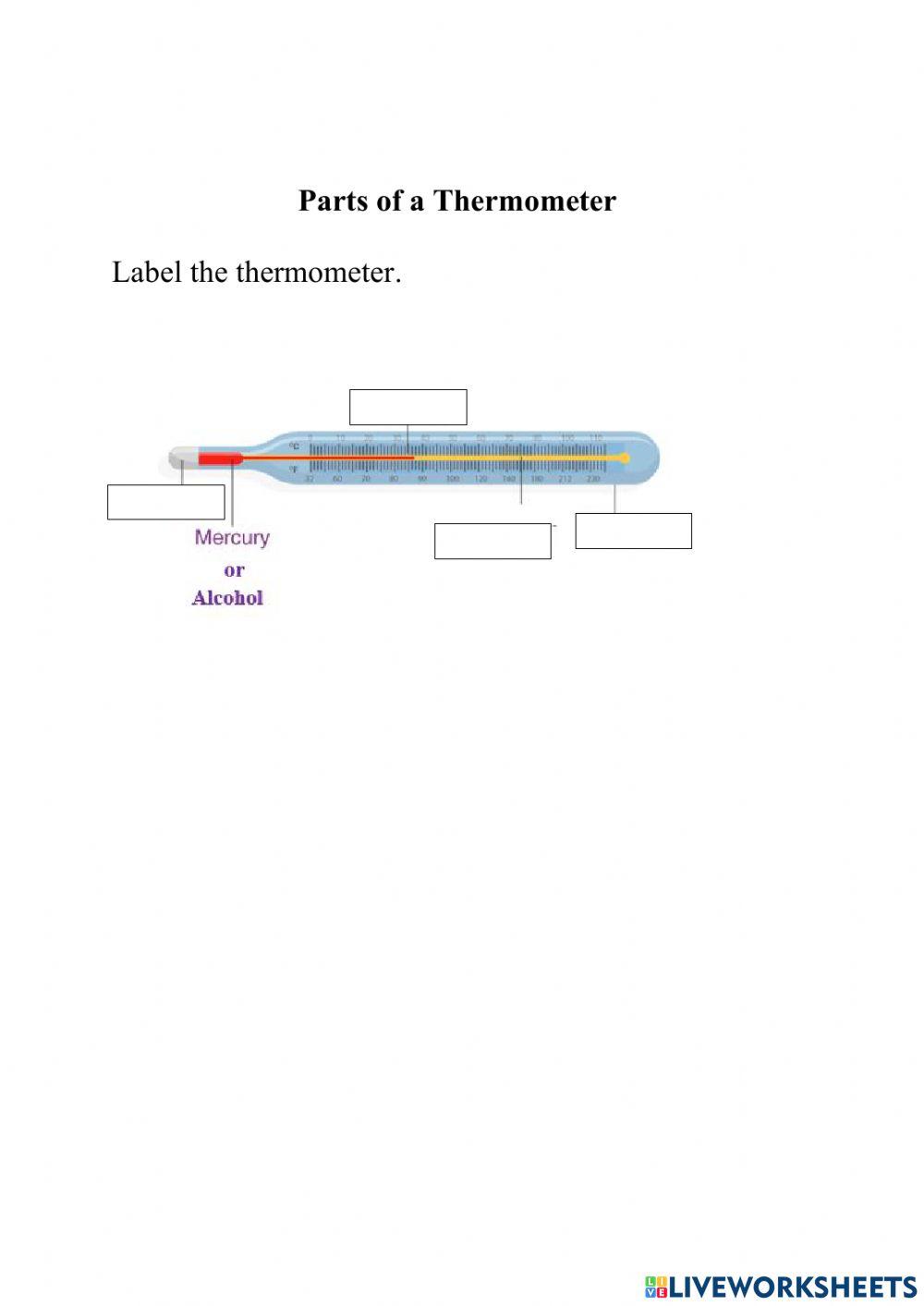 Parts of a Thermometer