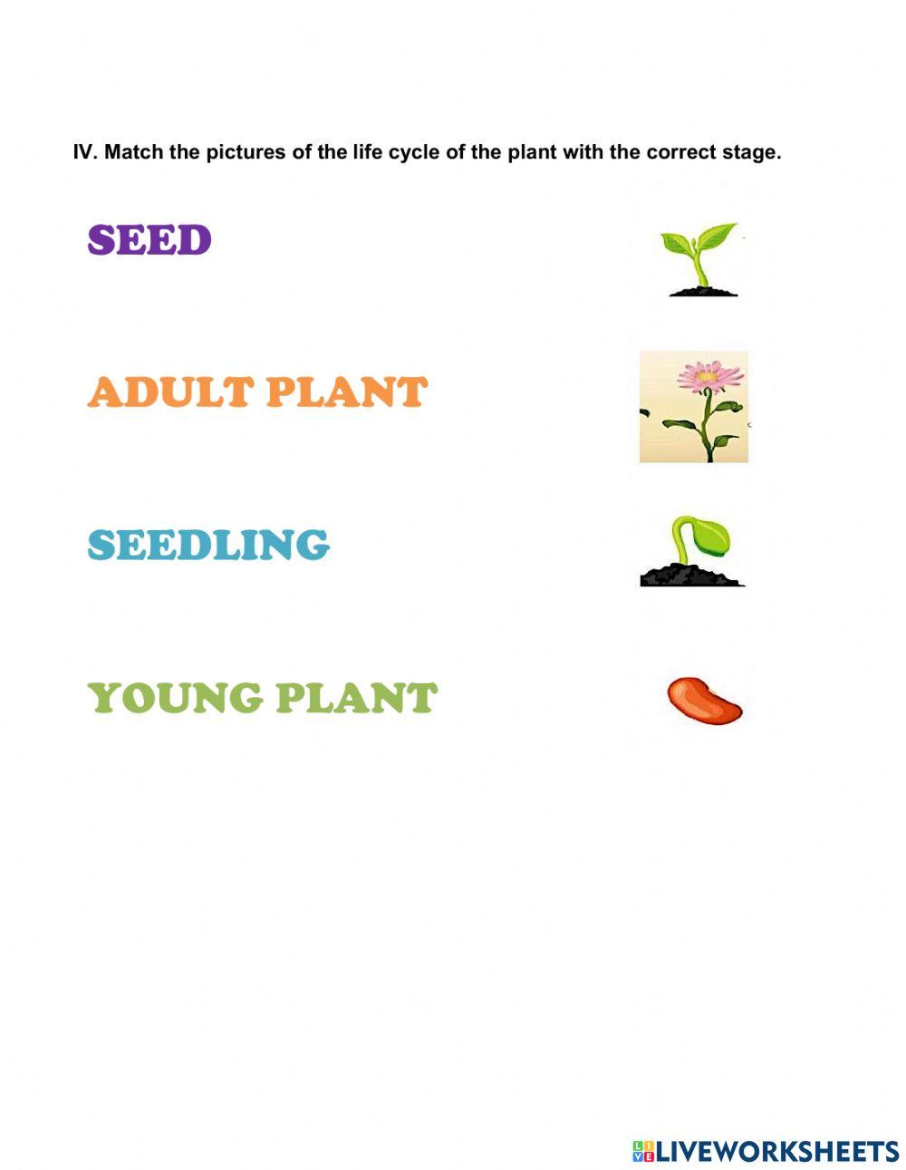 Science Quarterly exam 1