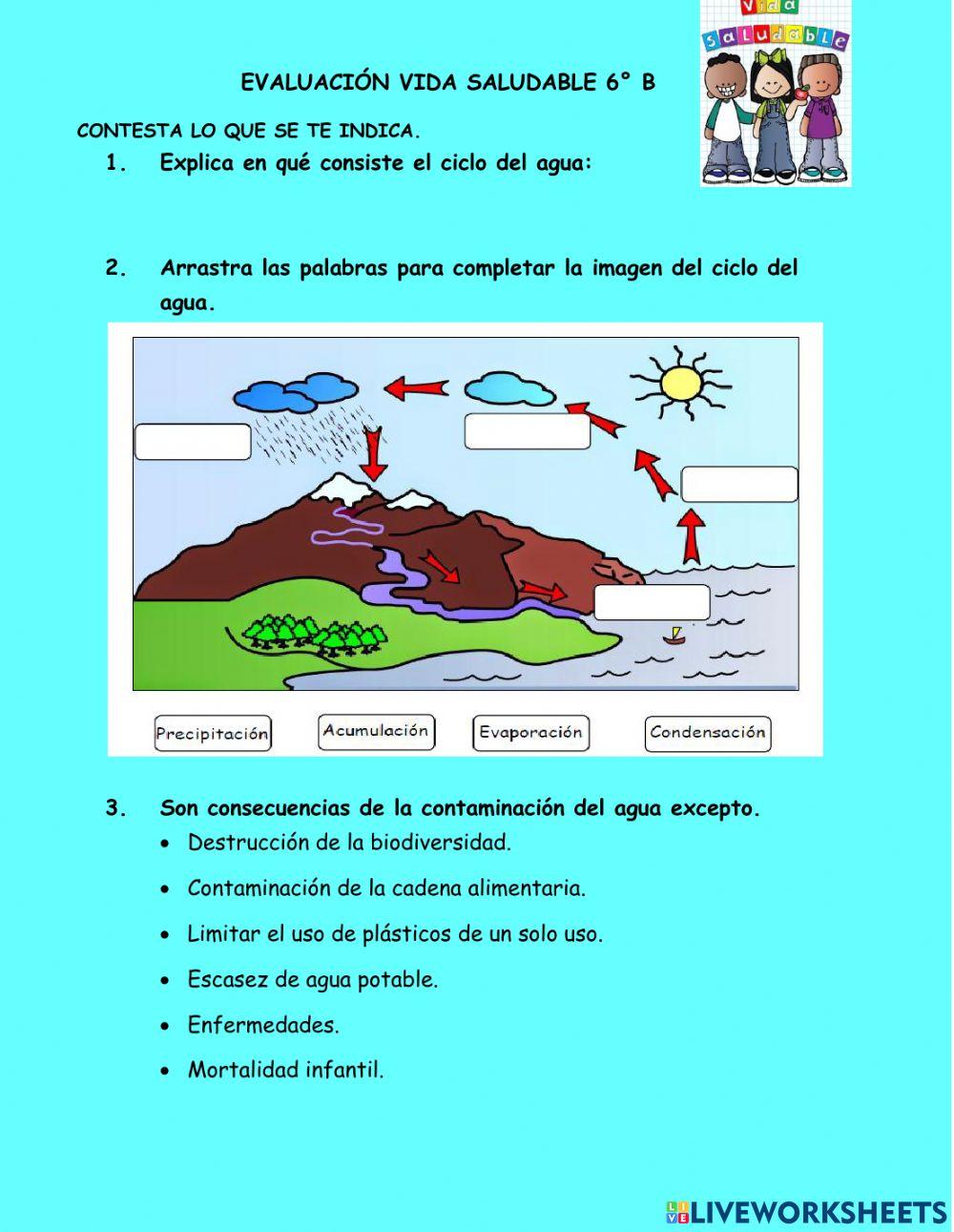 Evaluación vida saludable 6°