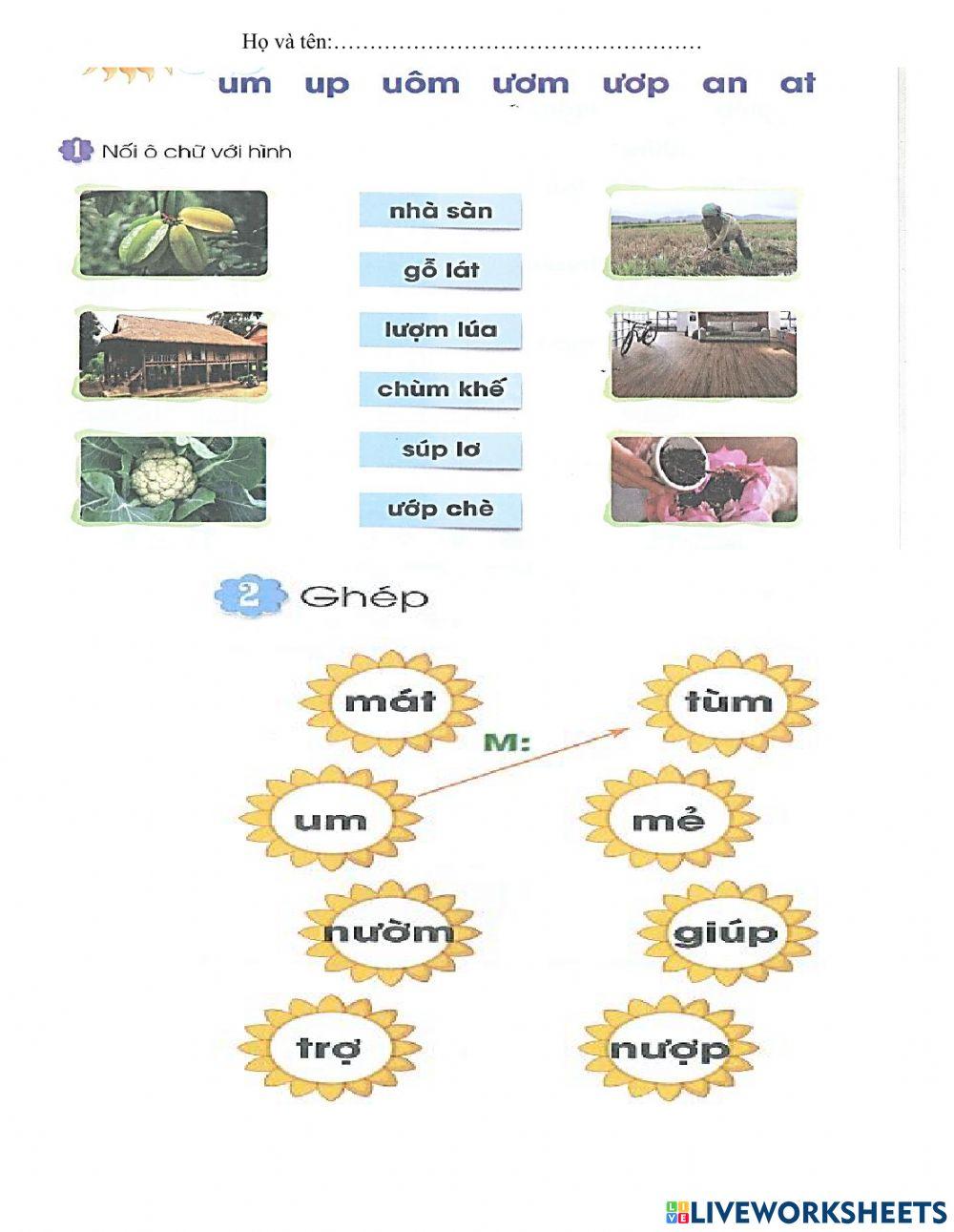Bài tập tuần 11 ( Tiếng Việt )