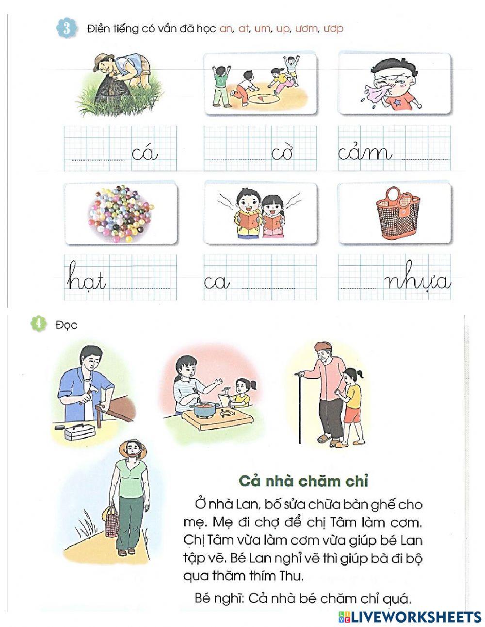 Bài tập tuần 11 ( Tiếng Việt )