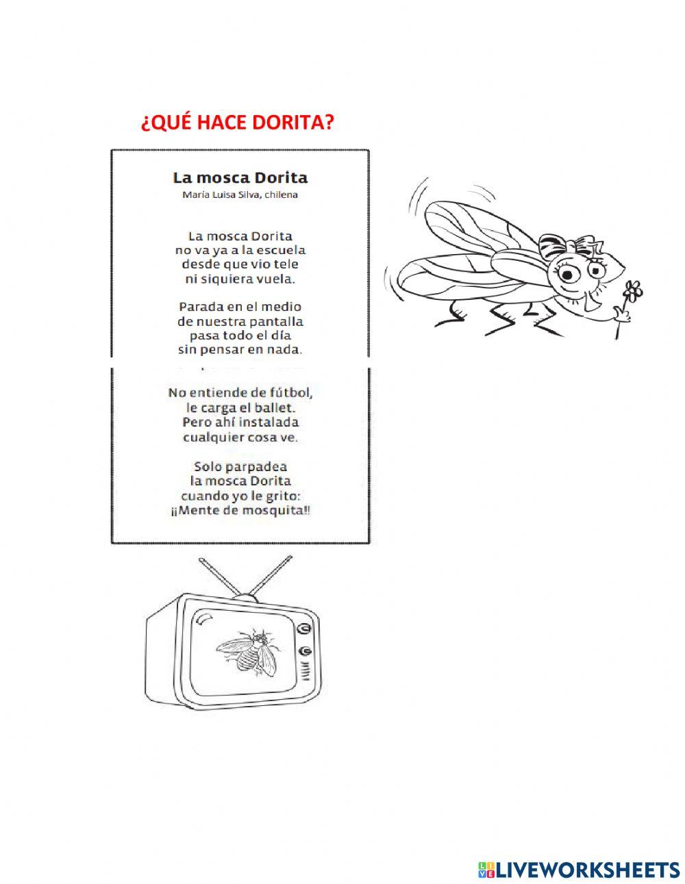 Comprensión de lectura