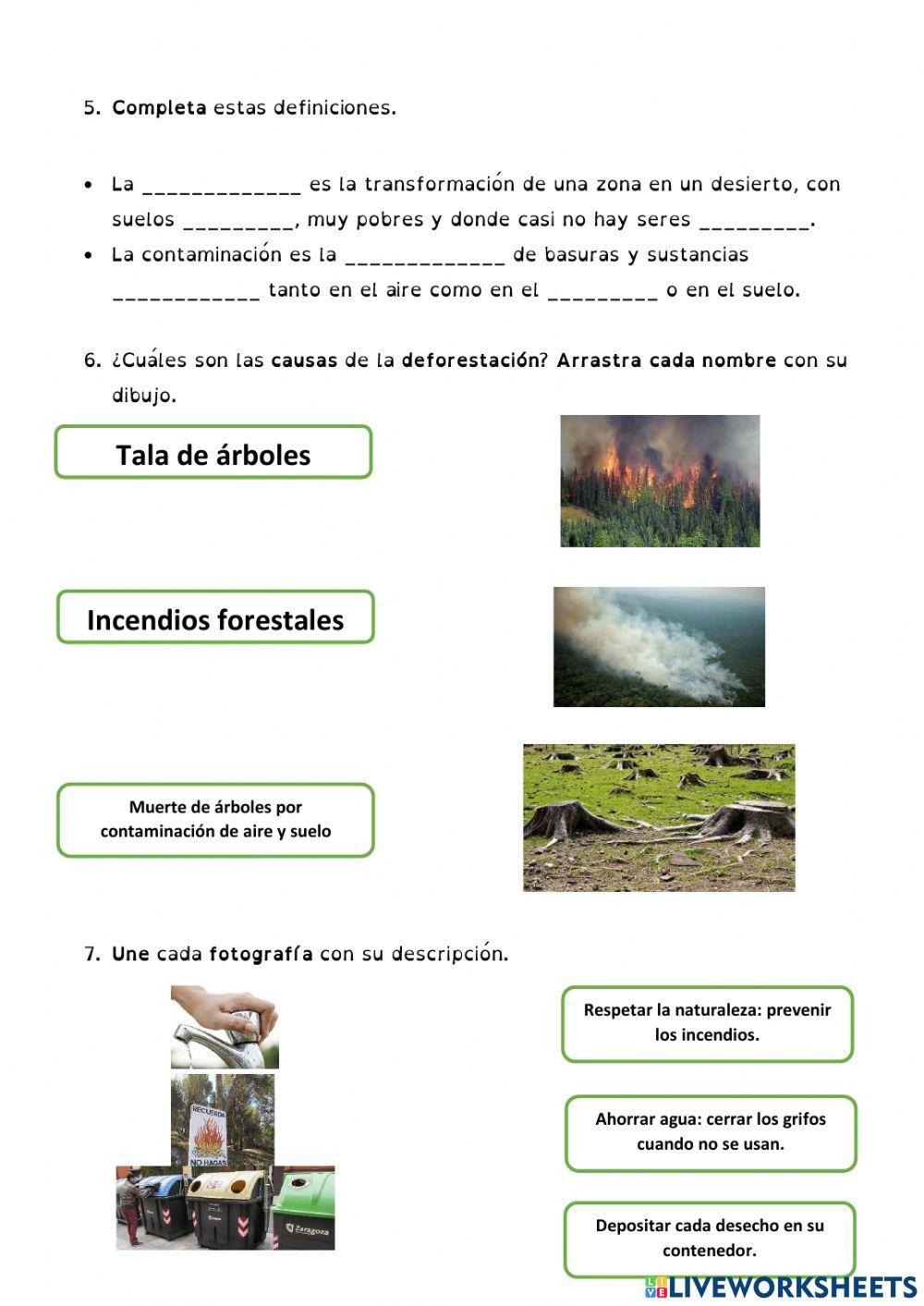 Biodiversidad y medio ambiente