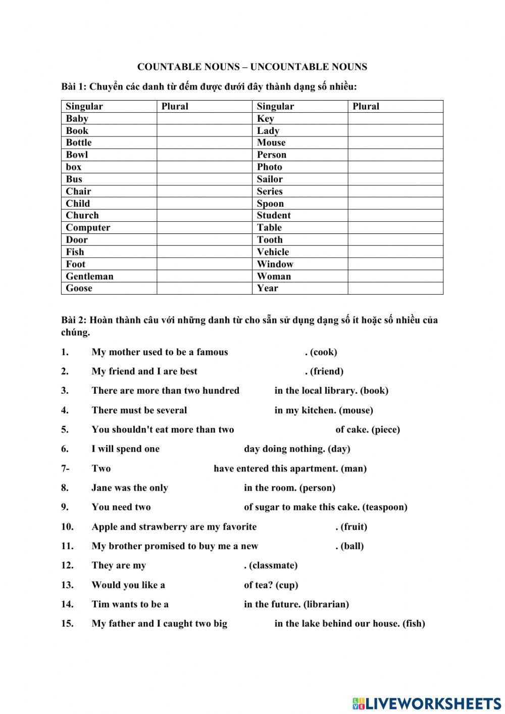 Uncountable nouns and countable nouns
