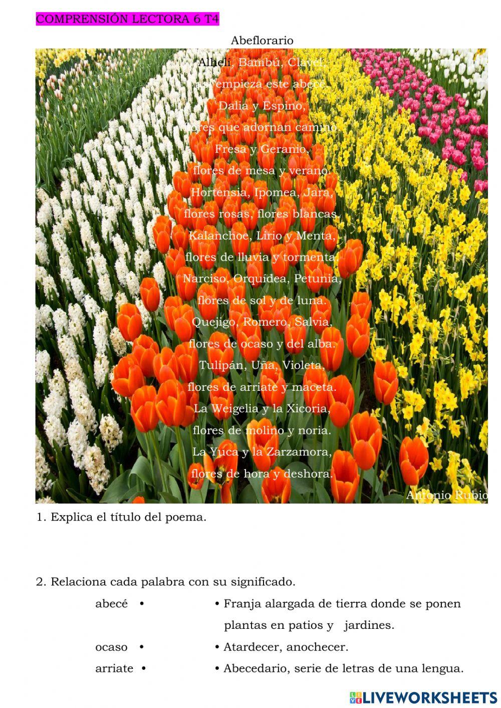 Comprensión Lectora