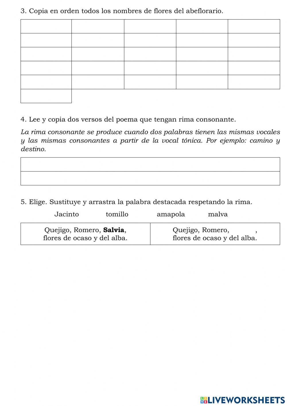 Comprensión Lectora