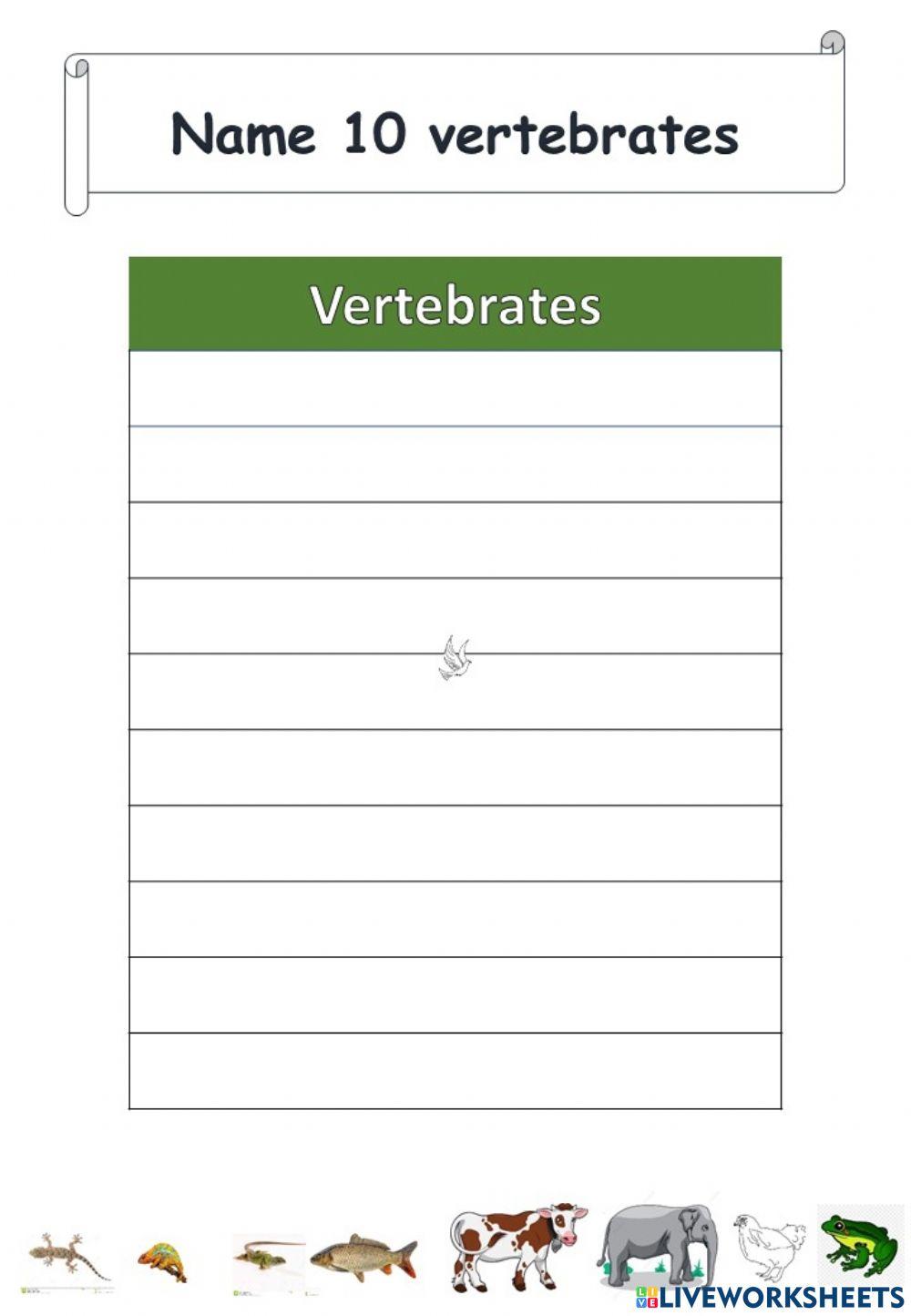 Classification of Animals