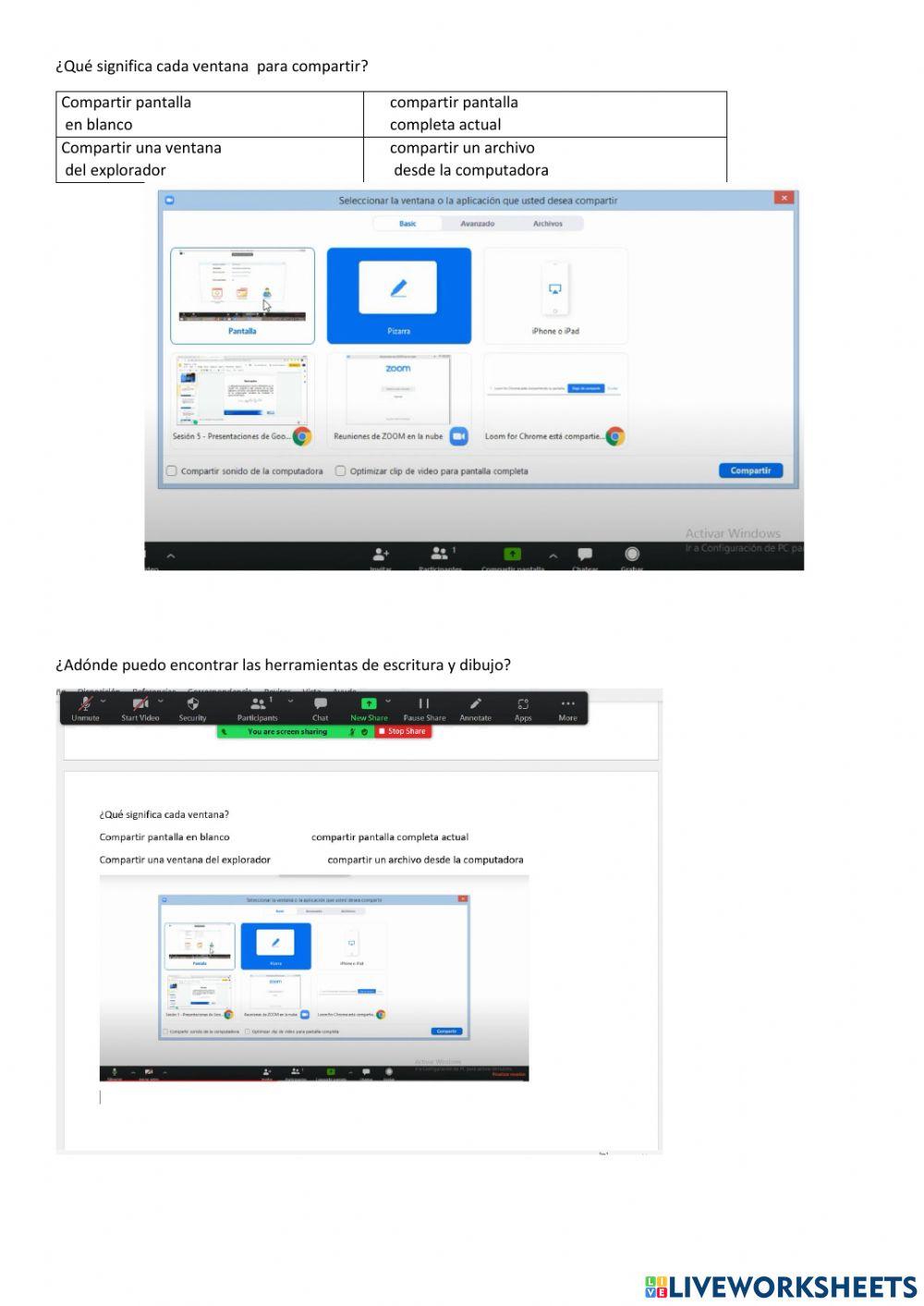 Conocmiento sobre zoom