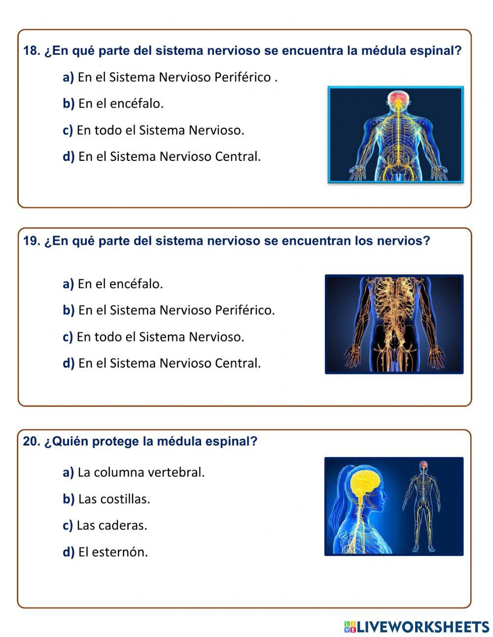 Evaluación Final - Ciencias Naturales