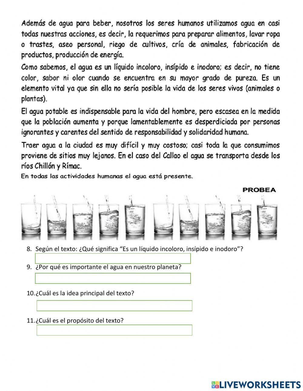 Comprension de lectura