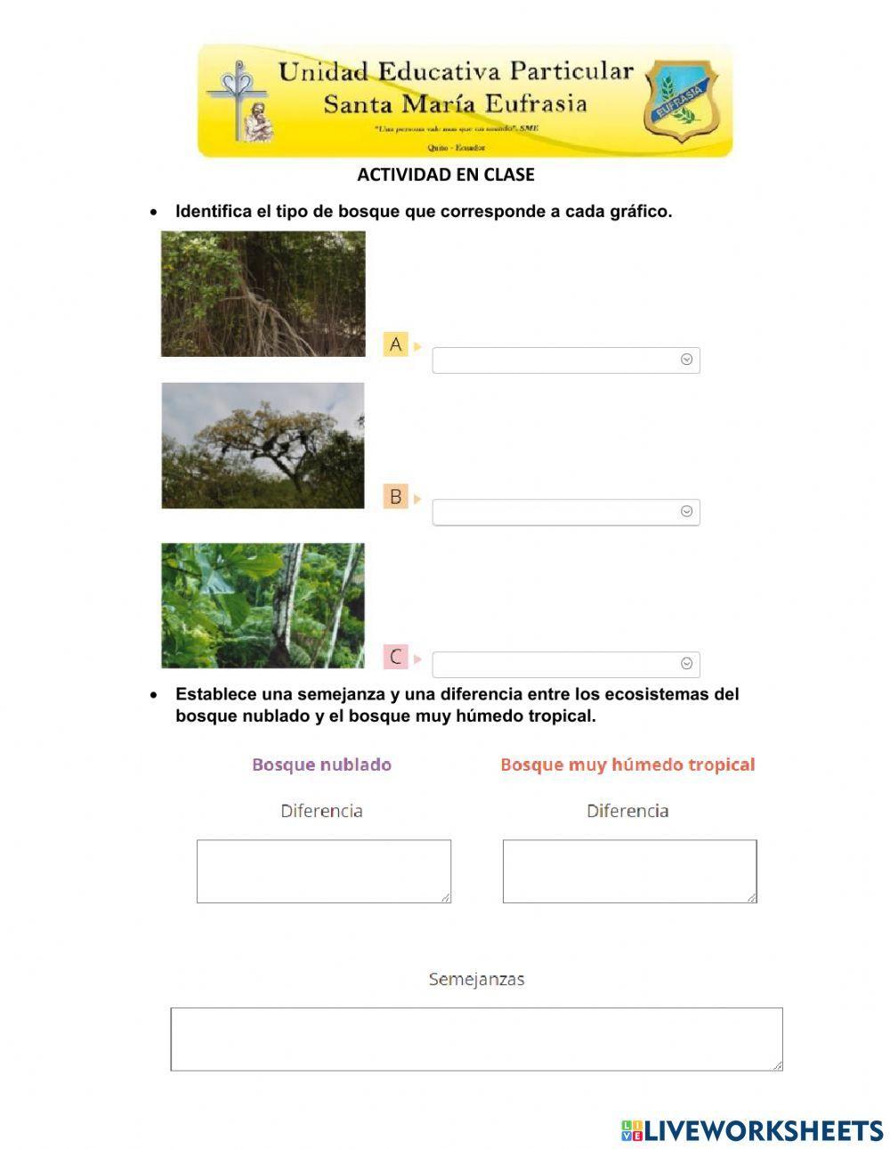 Biodiversidad Ecuador