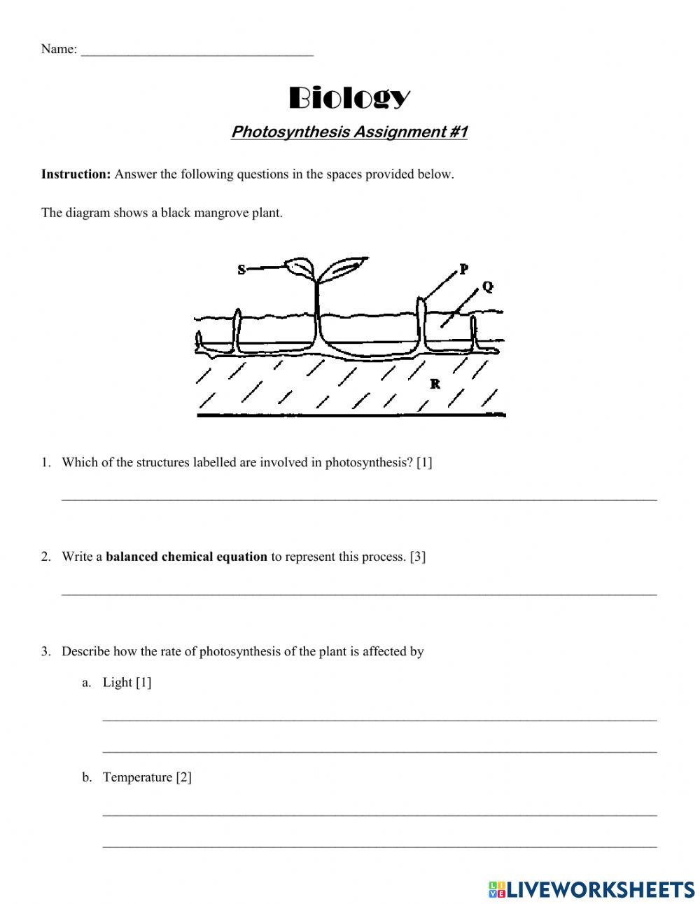 Photosynthesis Assignment