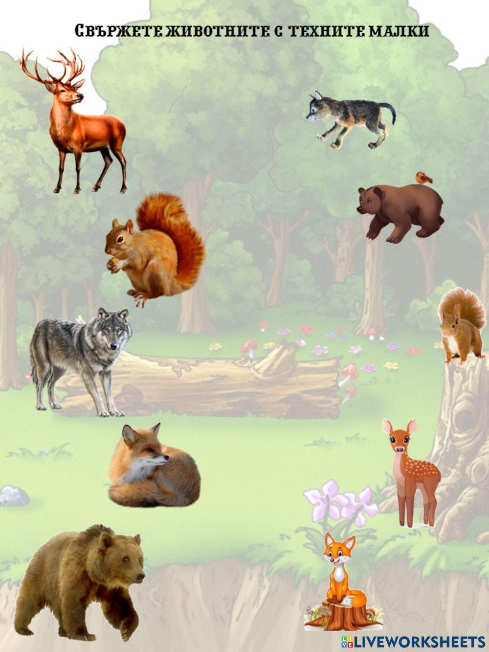 Диви животни и техните малки
