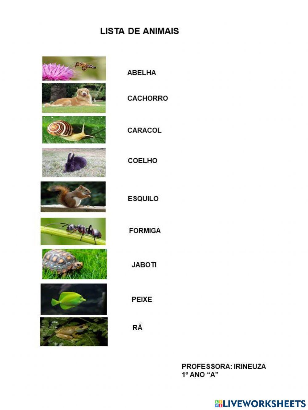 Lista de animais