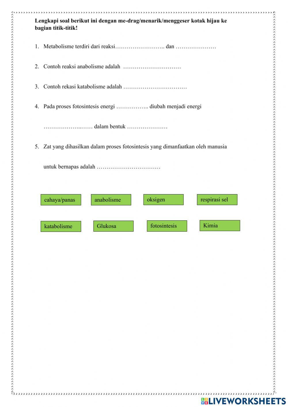 Transformasi Energi Pada Makhluk Hidup