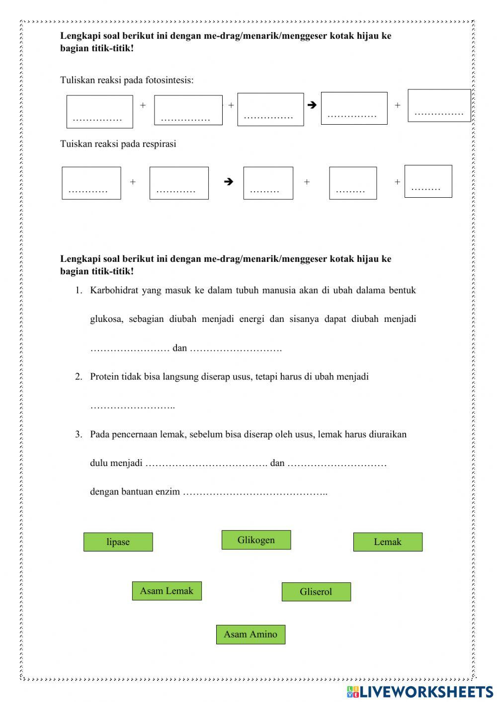 Transformasi Energi Pada Makhluk Hidup