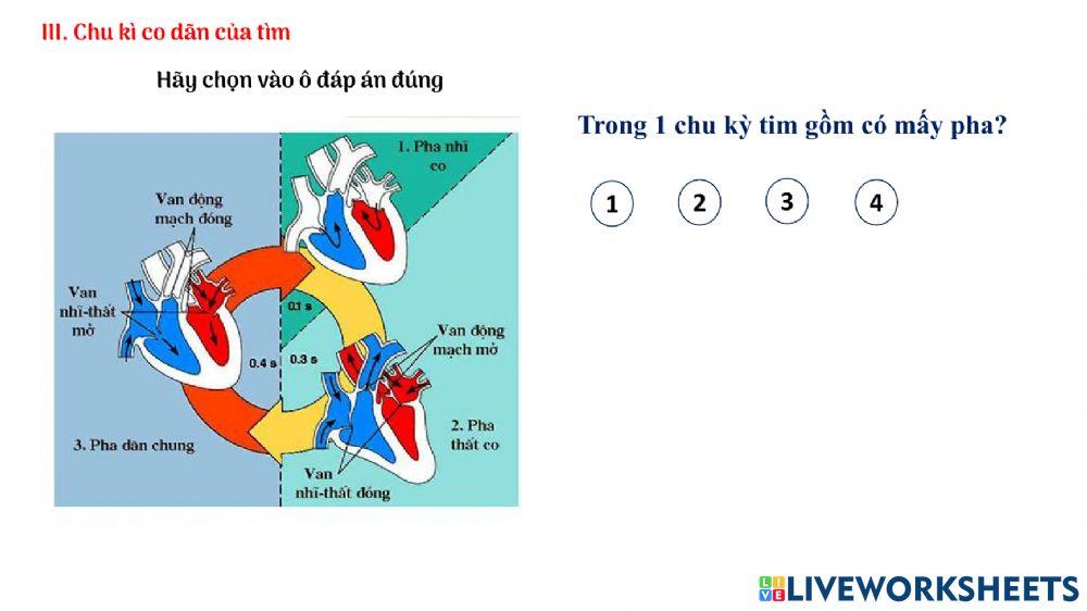 Tim và mạch máu