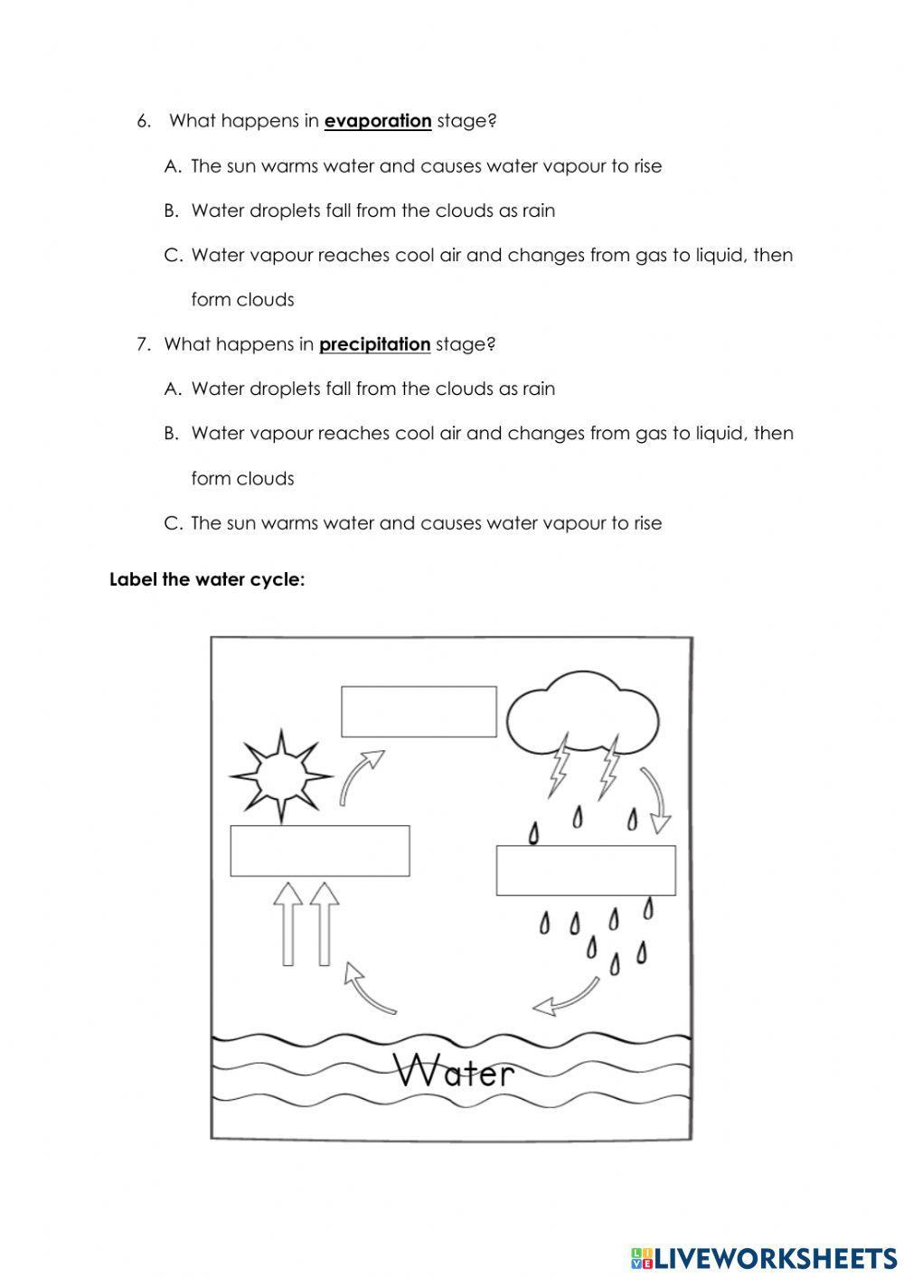 Water cycle interactive activity for 5 Live Worksheets