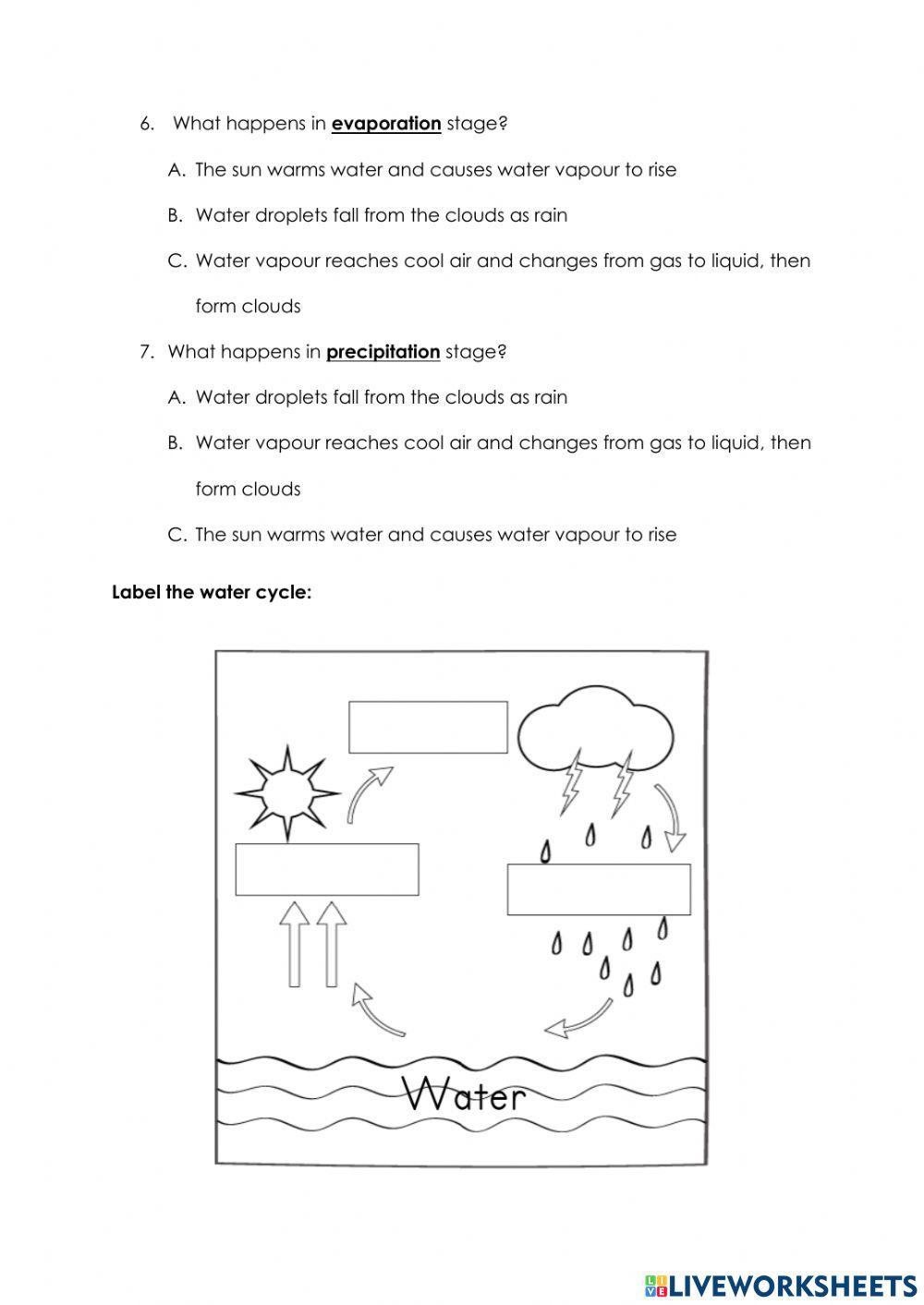 Water cycle