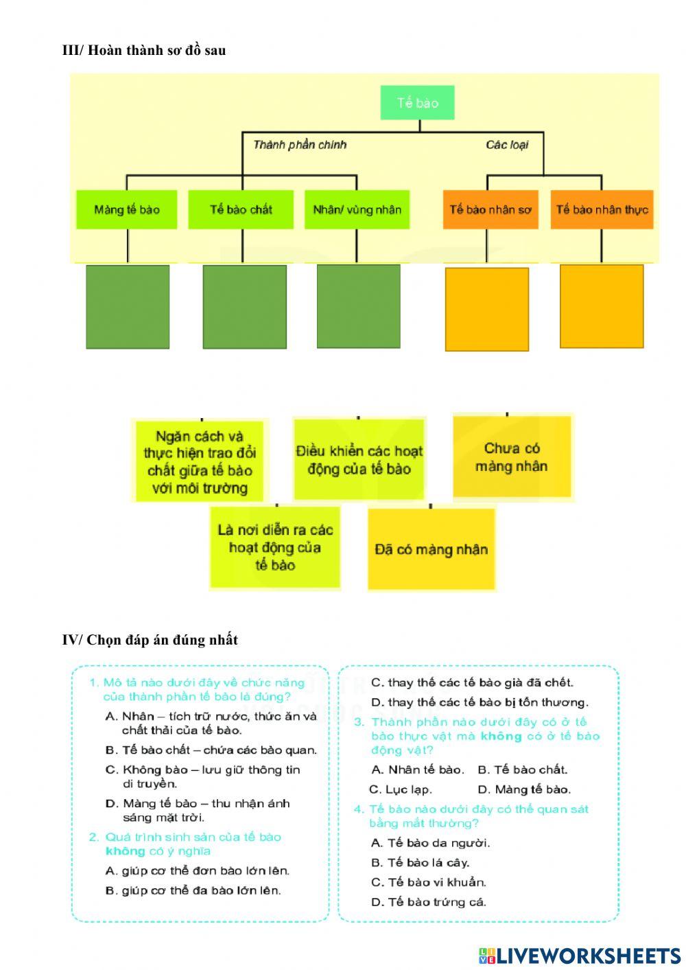 Bài tập chủ dề 7 sinh
