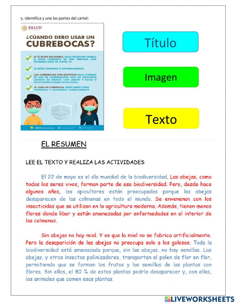 Examen Español Primer Trimestre Cuarto Primaria
