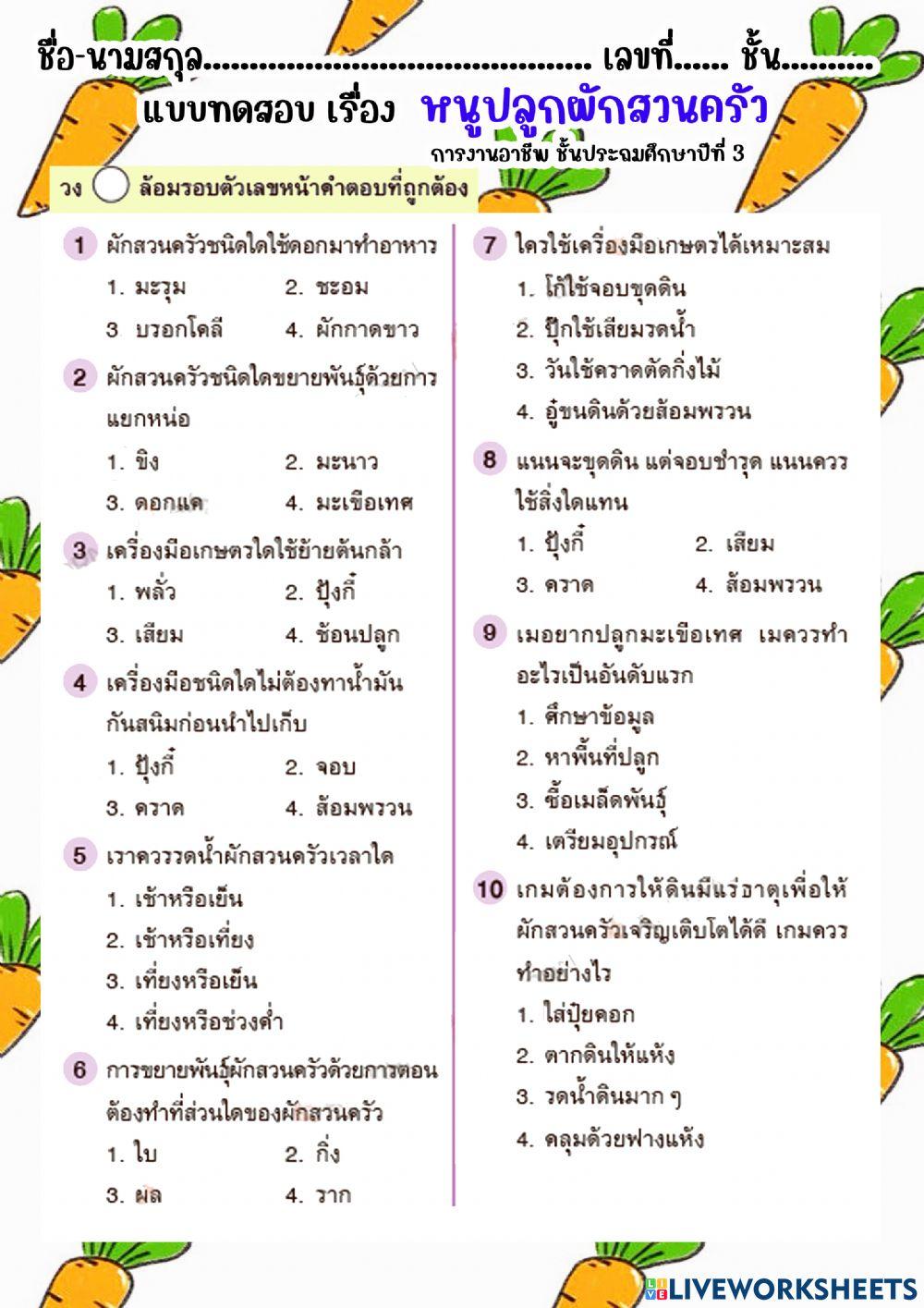 ปลูกผักสวนครัว