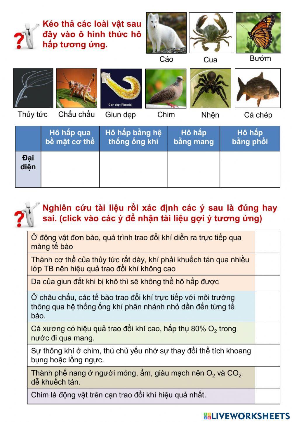 Sinh 11 - Bài 17 - Hô hấp ở động vật