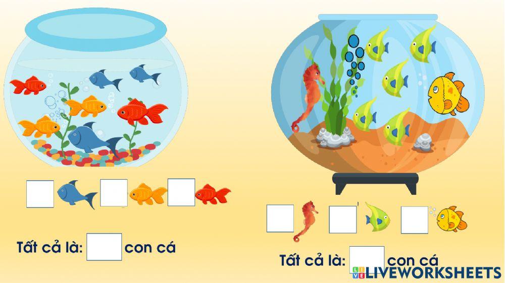 Tách gộp trong phạm vi 7