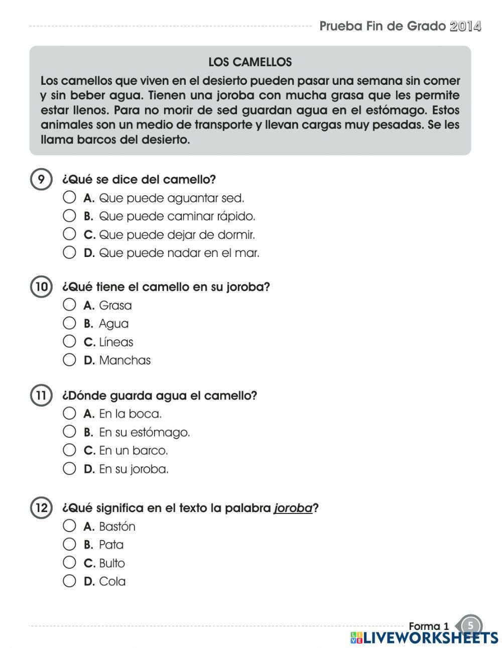 Prueba de  ESPAÑOL fin de grado - PRIMER GRADO