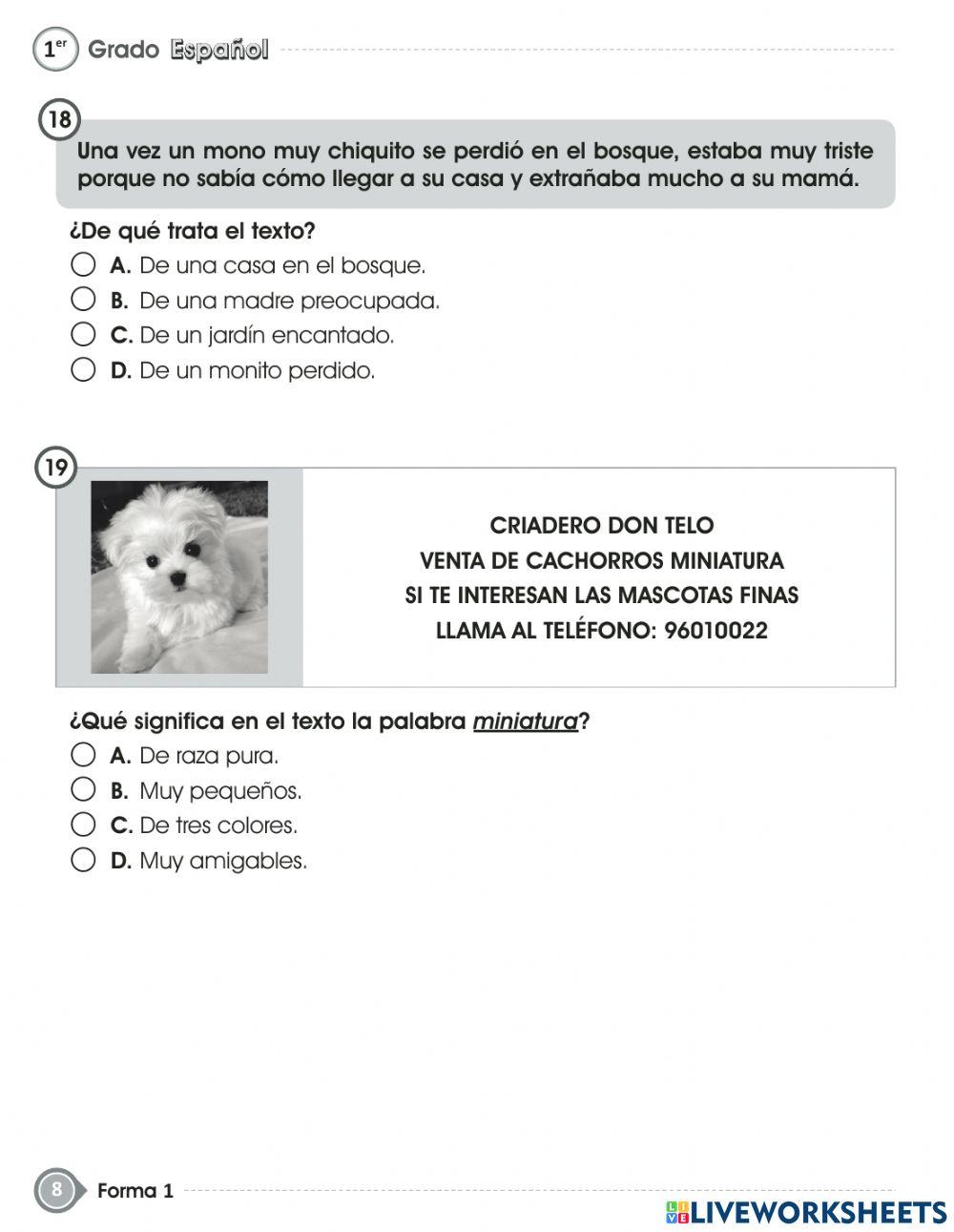 Prueba de  ESPAÑOL fin de grado - PRIMER GRADO