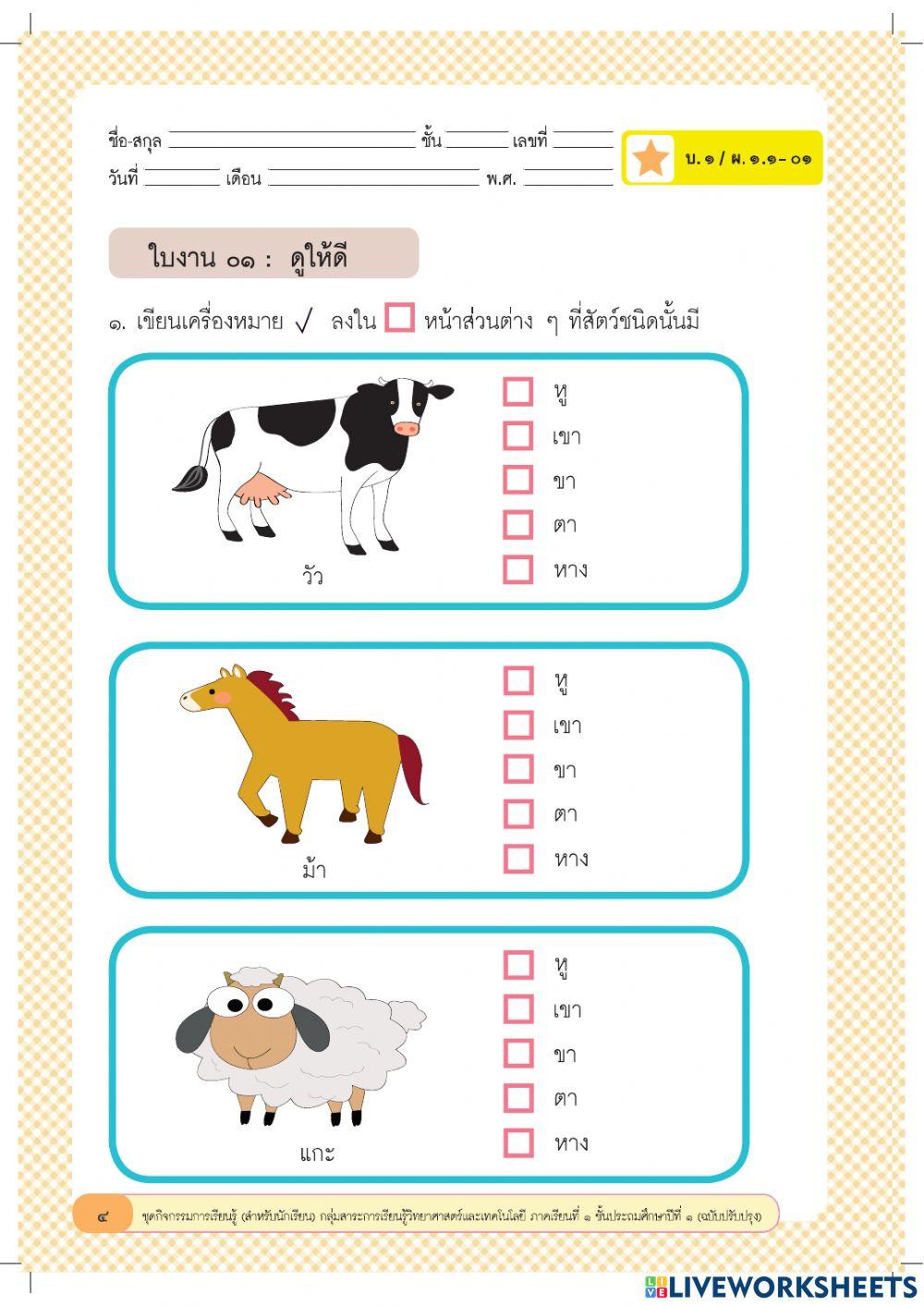 ป.1 ใบงาน 1  ความเหมือนและความแตกต่าง