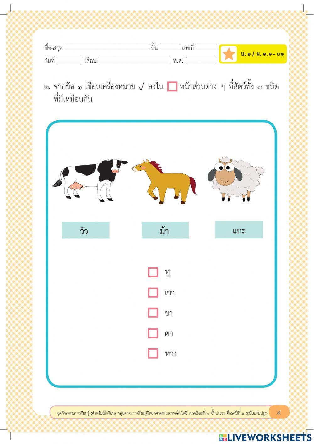 ป.1 ใบงาน 1  ความเหมือนและความแตกต่าง