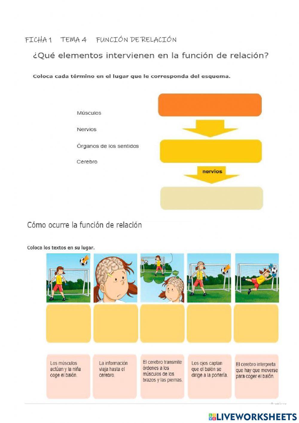 Funcion de relación