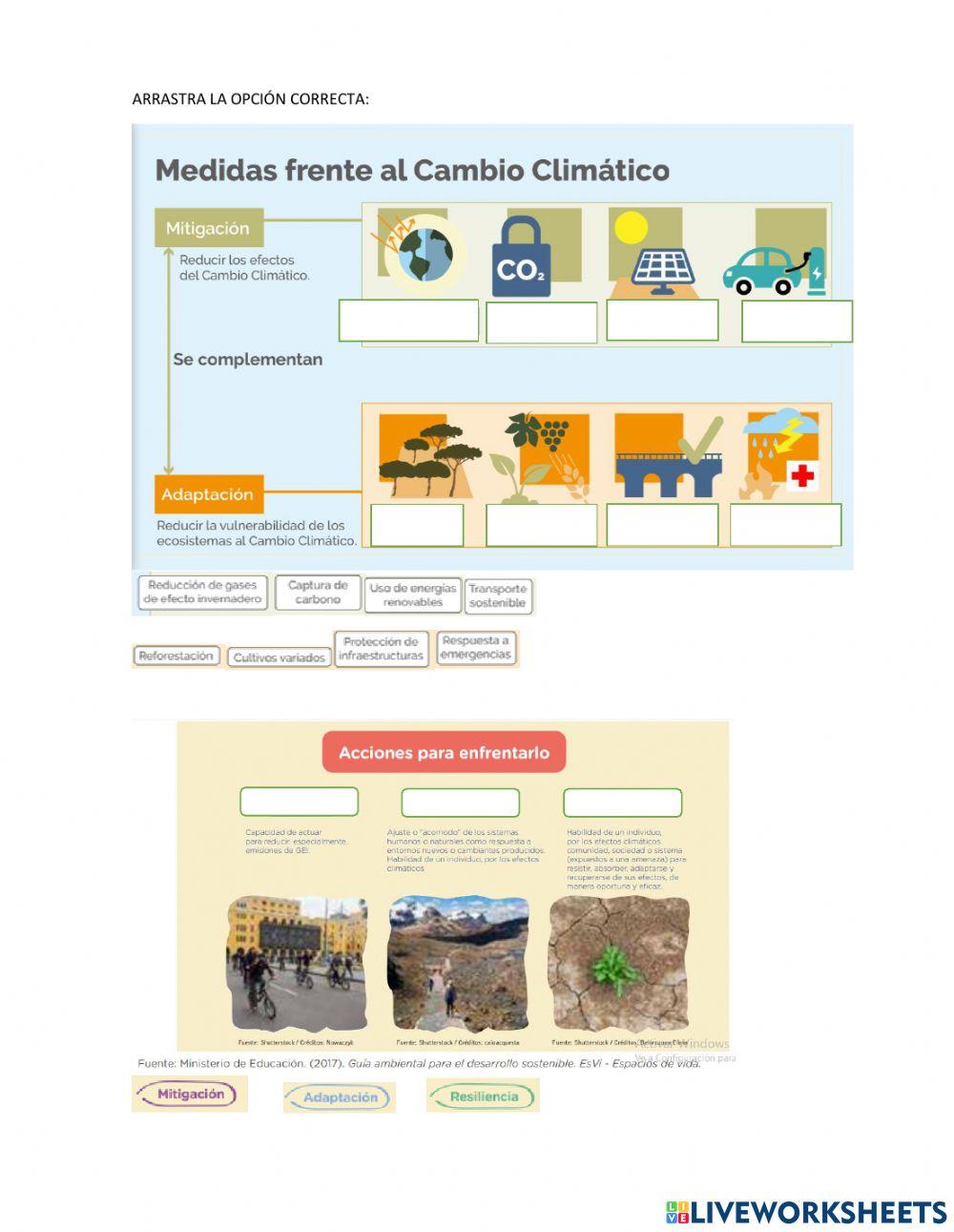 Mitigación-adaptación