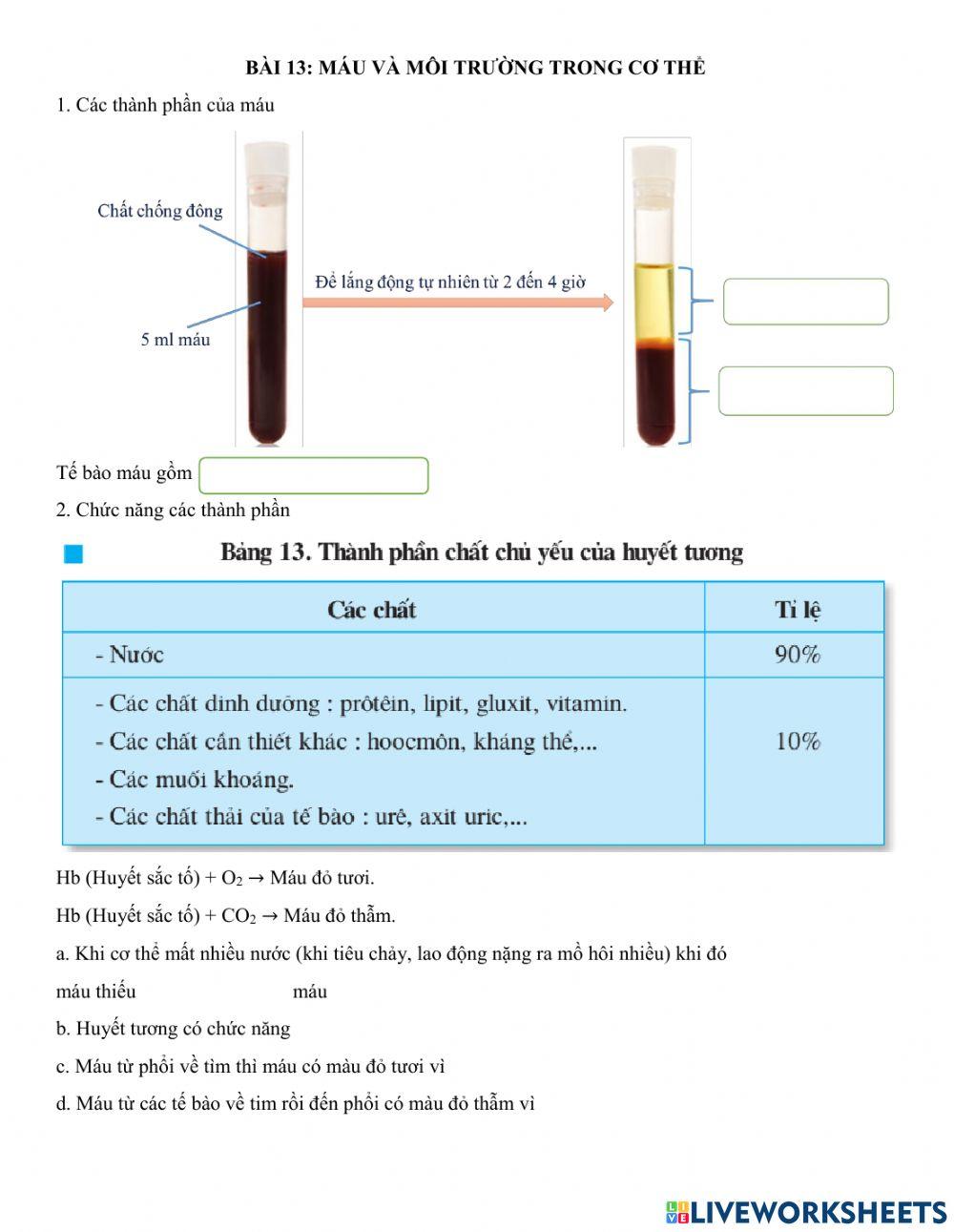 Phiếu học tập bài 13